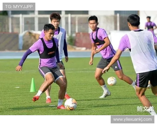 球队主力阵容磨合情况评估配合默契程度