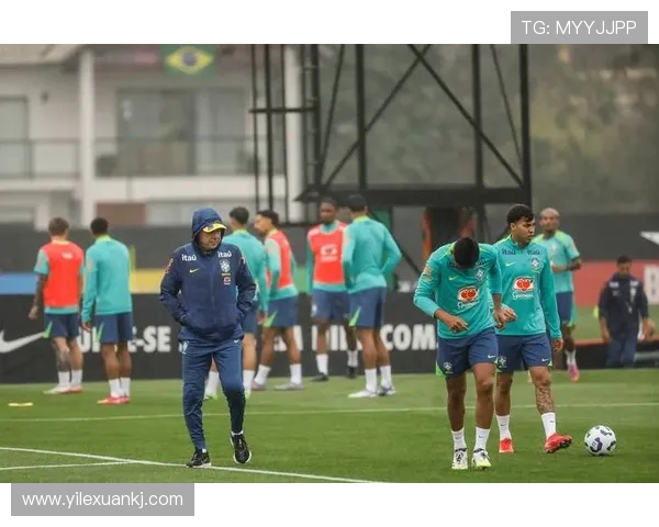 巴西队在去年世界杯的表现分析及最终排名回顾